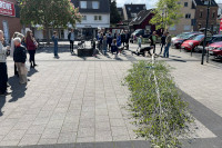 Maibaum