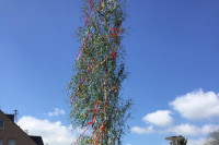 Maibaum