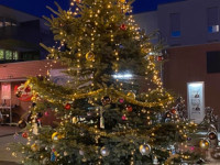 Weihnachtsbaum